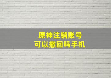 原神注销账号可以撤回吗手机