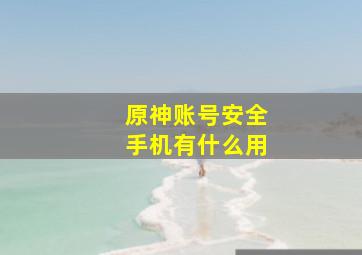 原神账号安全手机有什么用