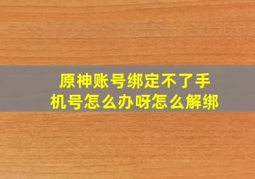 原神账号绑定不了手机号怎么办呀怎么解绑