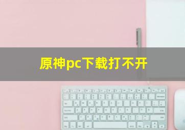 原神pc下载打不开