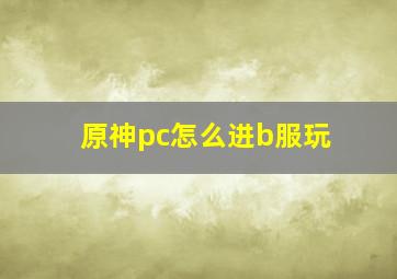 原神pc怎么进b服玩