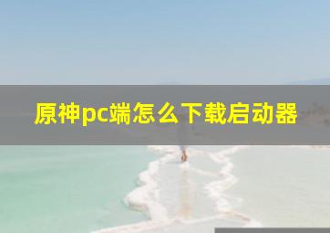 原神pc端怎么下载启动器