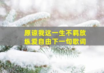 原谅我这一生不羁放纵爱自由下一句歌词