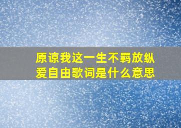 原谅我这一生不羁放纵爱自由歌词是什么意思