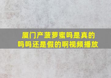 厦门产菠萝蜜吗是真的吗吗还是假的啊视频播放