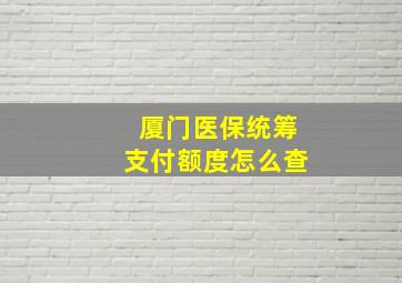 厦门医保统筹支付额度怎么查