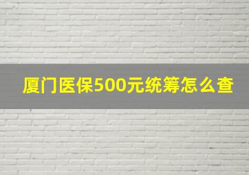 厦门医保500元统筹怎么查