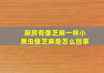 厨房有像芝麻一样小黑虫像芝麻是怎么回事