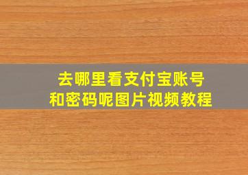 去哪里看支付宝账号和密码呢图片视频教程