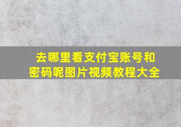 去哪里看支付宝账号和密码呢图片视频教程大全