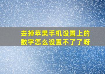 去掉苹果手机设置上的数字怎么设置不了了呀