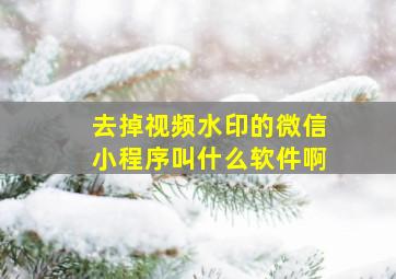 去掉视频水印的微信小程序叫什么软件啊