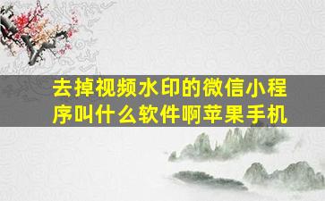 去掉视频水印的微信小程序叫什么软件啊苹果手机