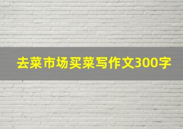 去菜市场买菜写作文300字