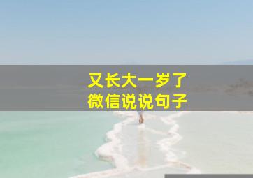 又长大一岁了微信说说句子