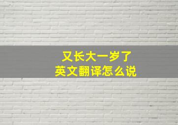 又长大一岁了英文翻译怎么说