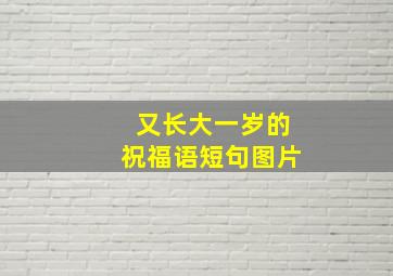 又长大一岁的祝福语短句图片