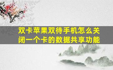 双卡苹果双待手机怎么关闭一个卡的数据共享功能