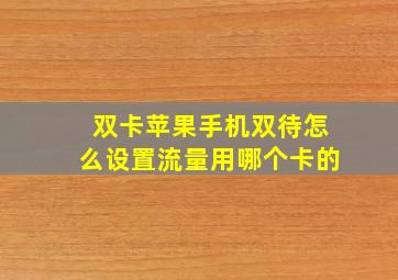 双卡苹果手机双待怎么设置流量用哪个卡的