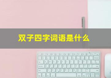 双子四字词语是什么