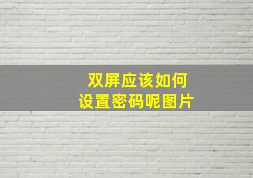 双屏应该如何设置密码呢图片