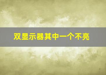 双显示器其中一个不亮