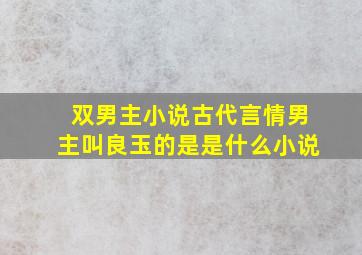 双男主小说古代言情男主叫良玉的是是什么小说