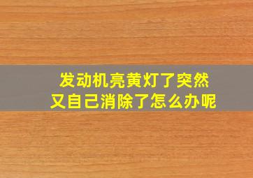 发动机亮黄灯了突然又自己消除了怎么办呢