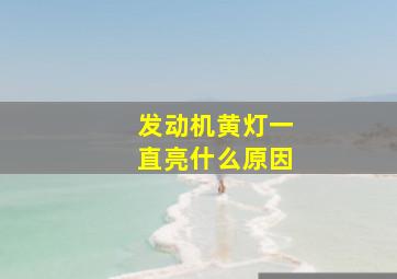 发动机黄灯一直亮什么原因