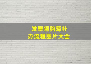 发票领购簿补办流程图片大全