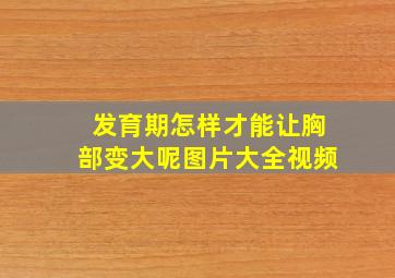 发育期怎样才能让胸部变大呢图片大全视频