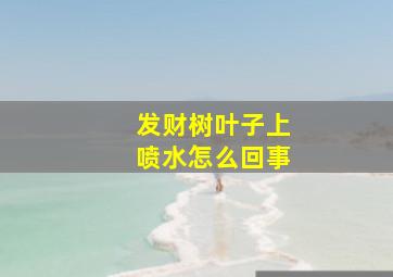 发财树叶子上喷水怎么回事