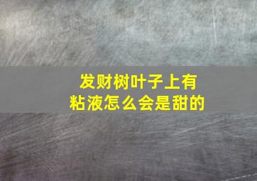 发财树叶子上有粘液怎么会是甜的