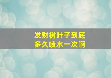 发财树叶子到底多久喷水一次啊