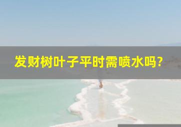 发财树叶子平时需喷水吗?