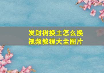 发财树换土怎么换视频教程大全图片