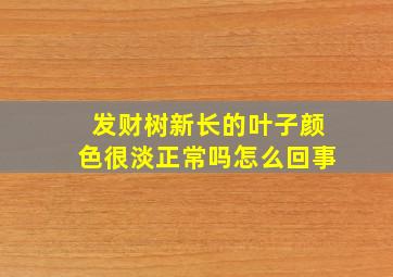 发财树新长的叶子颜色很淡正常吗怎么回事