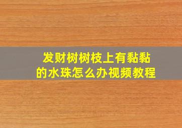 发财树树枝上有黏黏的水珠怎么办视频教程