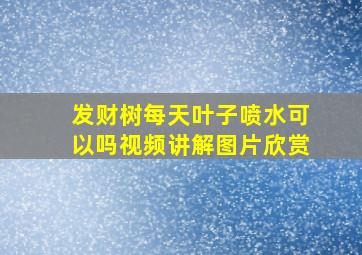 发财树每天叶子喷水可以吗视频讲解图片欣赏