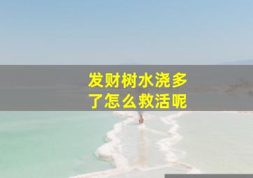 发财树水浇多了怎么救活呢