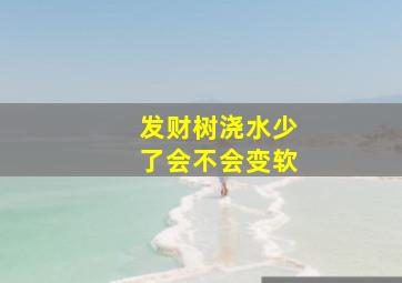 发财树浇水少了会不会变软