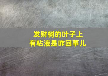 发财树的叶子上有粘液是咋回事儿