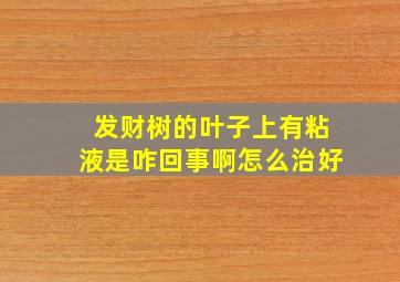 发财树的叶子上有粘液是咋回事啊怎么治好