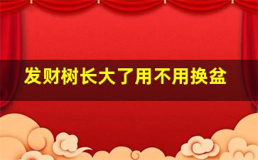 发财树长大了用不用换盆