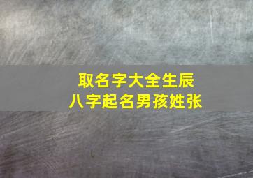 取名字大全生辰八字起名男孩姓张