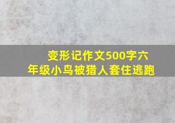 变形记作文500字六年级小鸟被猎人套住逃跑