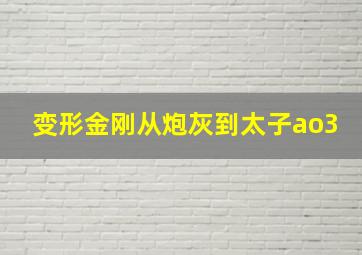 变形金刚从炮灰到太子ao3