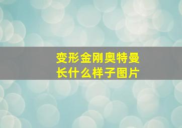 变形金刚奥特曼长什么样子图片