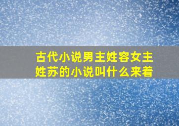 古代小说男主姓容女主姓苏的小说叫什么来着