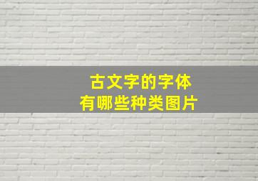 古文字的字体有哪些种类图片